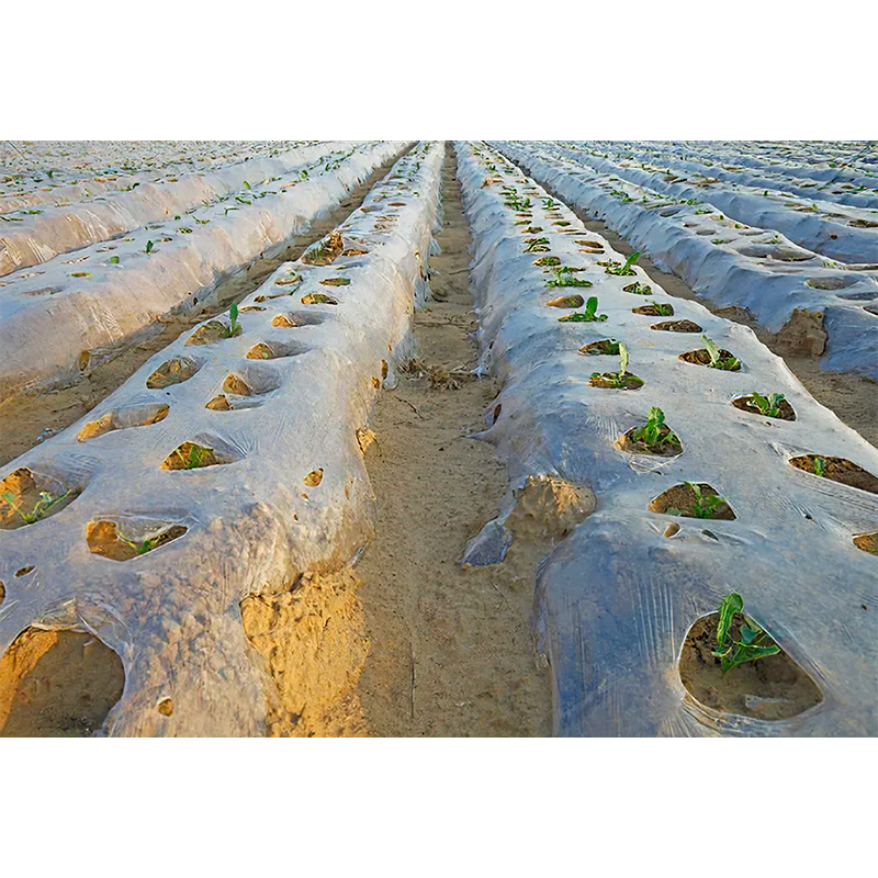 Film plastique agricole